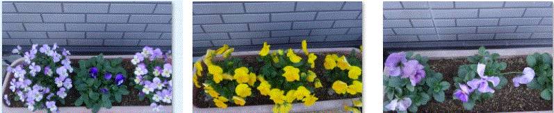 f0231709_19525224.gif