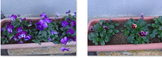 f0231709_19572805.gif