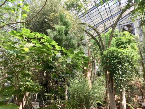 d0179410_22203456.jpeg