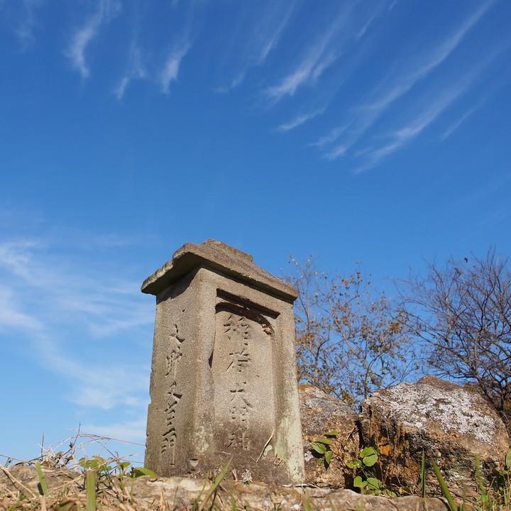 a0268412_22405554.jpg