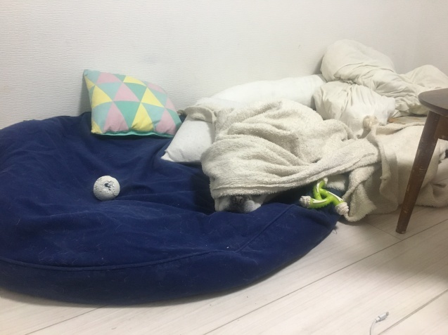 b0302512_20180630.jpeg