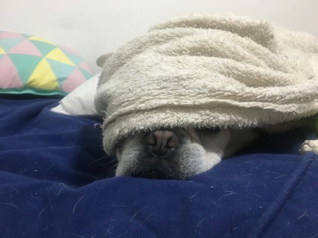 b0302512_20181944.jpeg