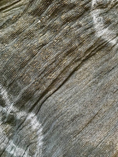 c0271012_08350361.jpeg