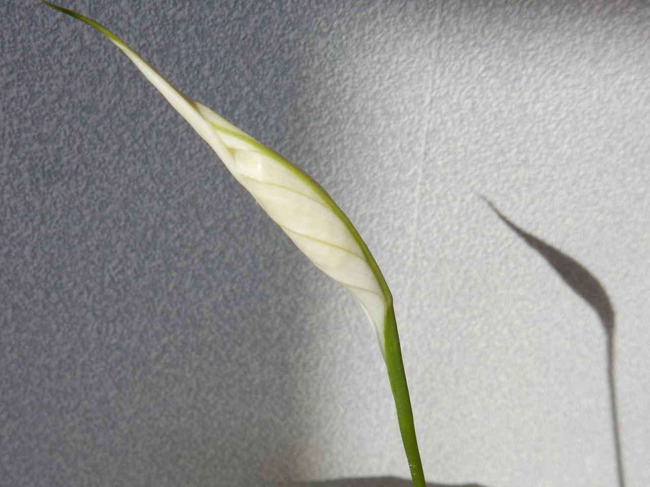 11月23日のtwitter_c0025115_21365672.jpg
