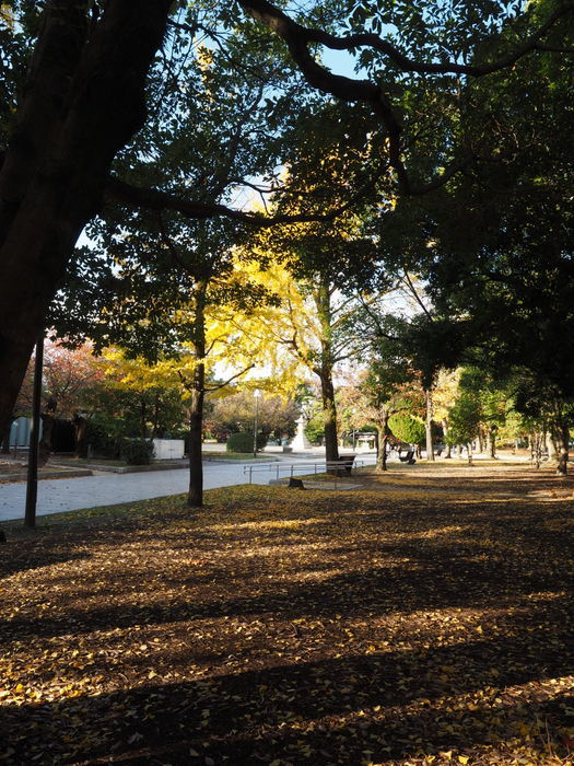 原爆ドームと平和公園周辺_c0116915_00454220.jpg