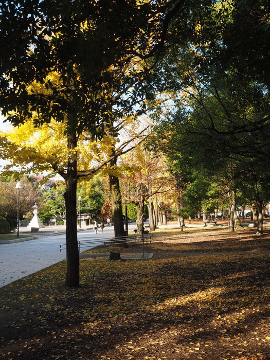 原爆ドームと平和公園周辺_c0116915_00455664.jpg