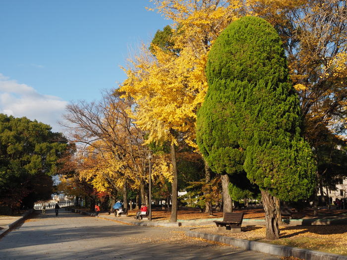 原爆ドームと平和公園周辺_c0116915_00462297.jpg