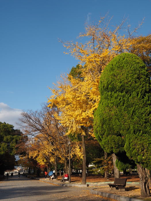 原爆ドームと平和公園周辺_c0116915_00463204.jpg
