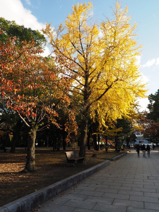 原爆ドームと平和公園周辺_c0116915_00464460.jpg