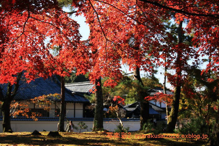 南禅寺に行く-7_b0398018_20585249.jpg