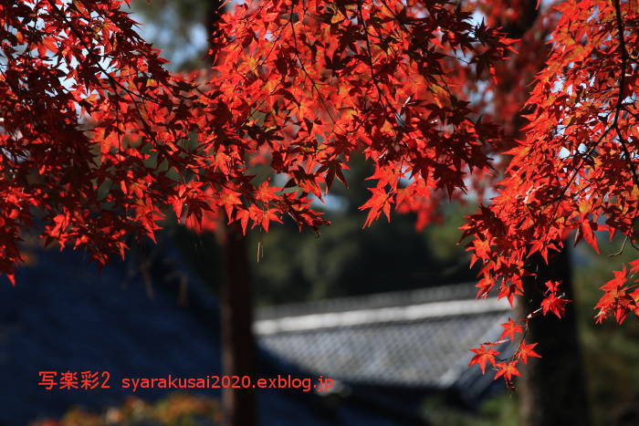 南禅寺に行く-7_b0398018_20585645.jpg