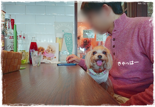 d0179828_01041831.png