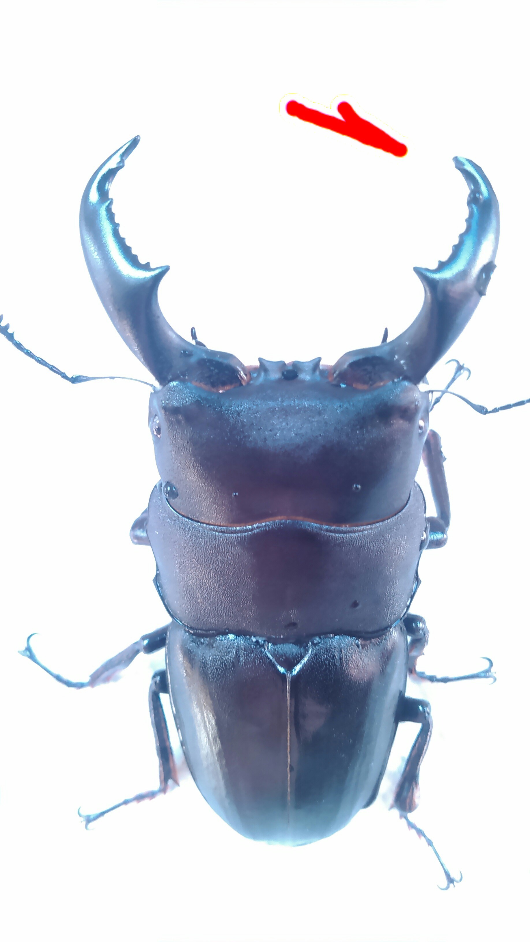 c0337631_22432396.jpg