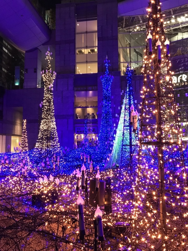 f0338831_19012860.jpeg