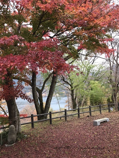 『わたらせ渓谷鉄道』と人気の国民宿舎で美味しいランチと紅葉を満喫♪_f0023333_22241827.jpg