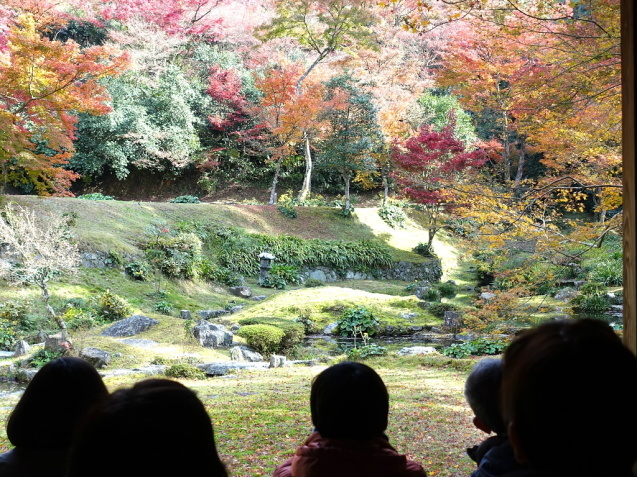 本坊庭園から清水寺へ。_e0056537_18310960.jpg