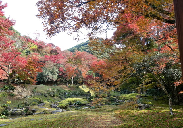 本坊庭園から清水寺へ。_e0056537_18311059.jpg