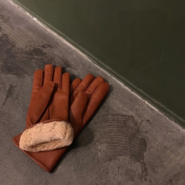 DENTS GLOVES_d0364239_19545197.jpg