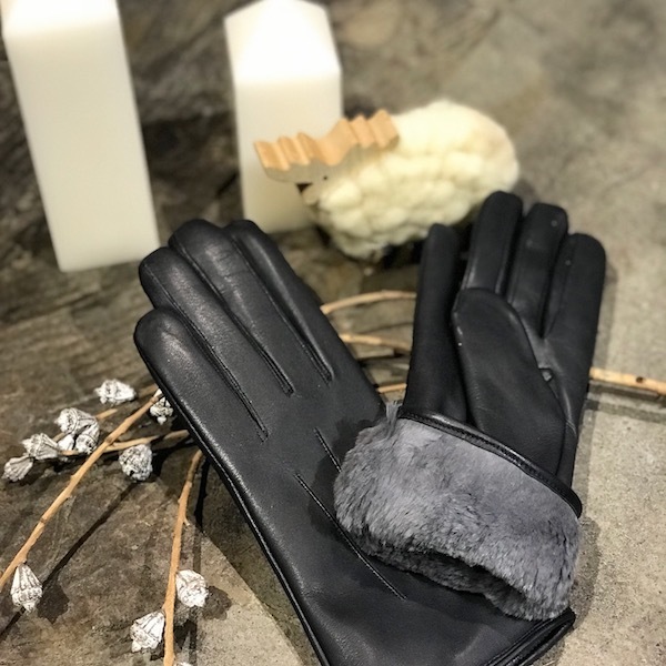 DENTS GLOVES_d0364239_19552865.jpg