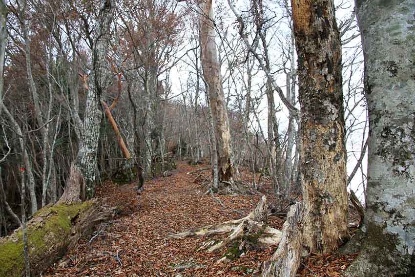 倉羅川井林道と東宮山「東宮神社」「春宮神社」「奥の院」♪_d0058941_20573984.jpg