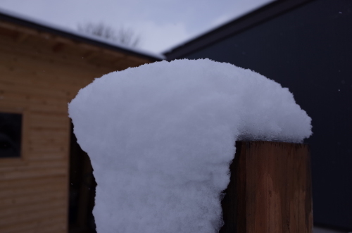 雪です~♪_b0207642_13522930.jpg