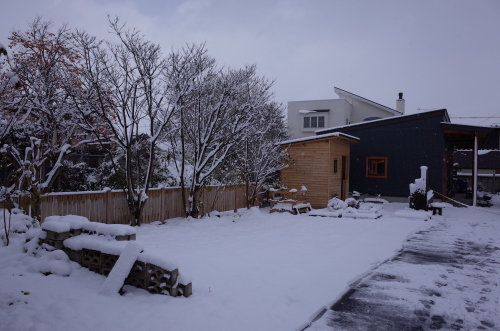 雪です~♪_b0207642_13530484.jpg