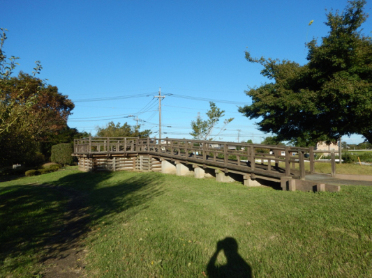 『あの日の選択』を悔いる…その26。_b0136045_07265043.jpg