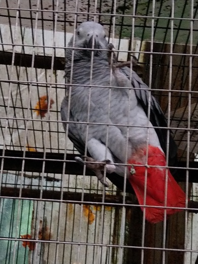 f0019846_13490486.jpg