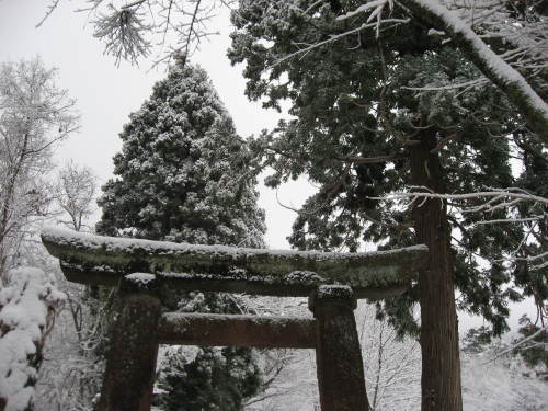 初冠雪_b0365347_23200972.jpg
