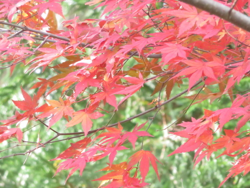 b0238249_20080304.jpg