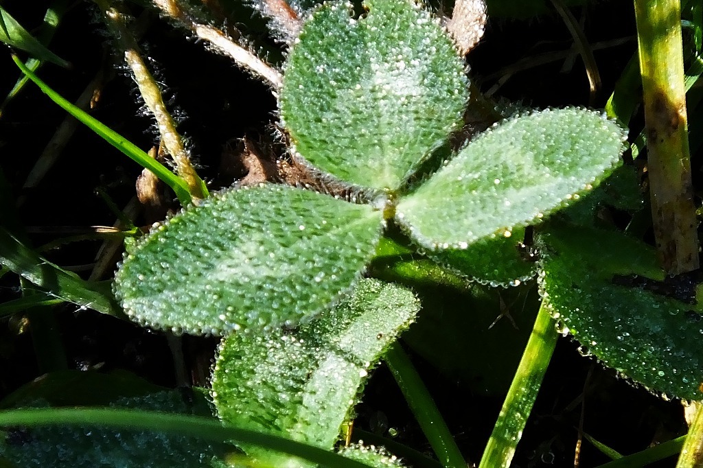 b0236251_15261702.jpg