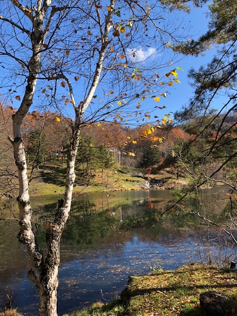 蓼科の紅葉_a0108356_13131446.jpg