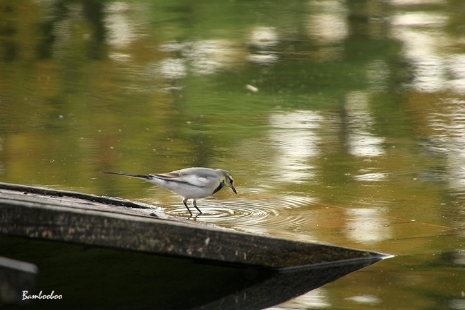 a0157968_07135584.jpg