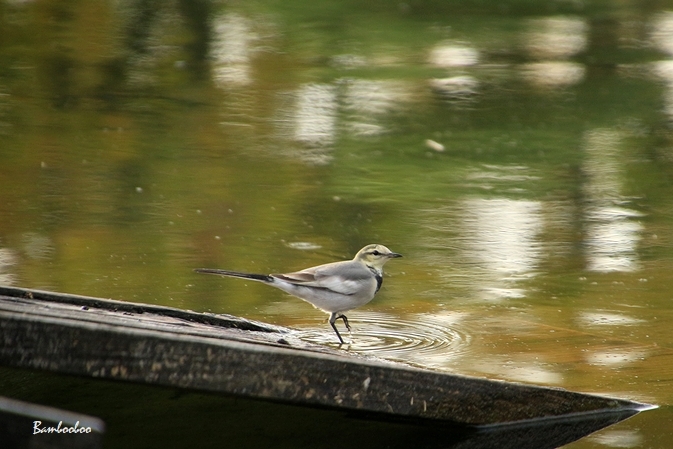 a0157968_07184742.jpg
