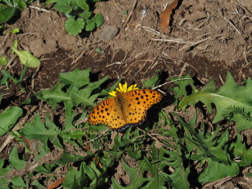 f0348480_16174506.jpg