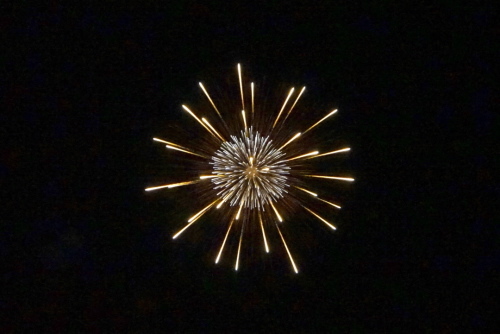 a0198883_21223544.jpg