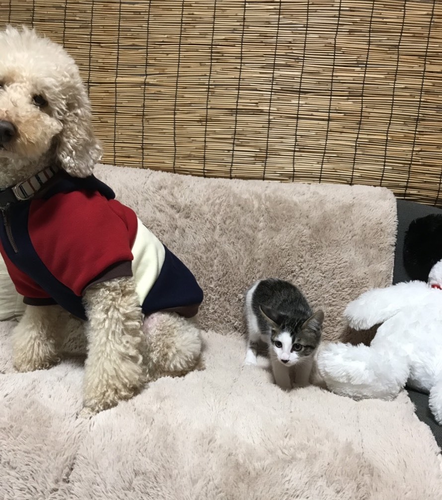みきちゃん その後 Gin Tetsu Nosuke