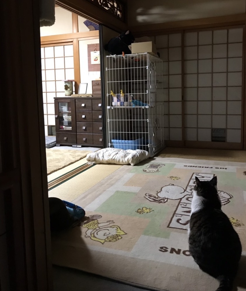 みきちゃん その後 Gin Tetsu Nosuke みきちゃん その後 Gin Tetsu Nosuke