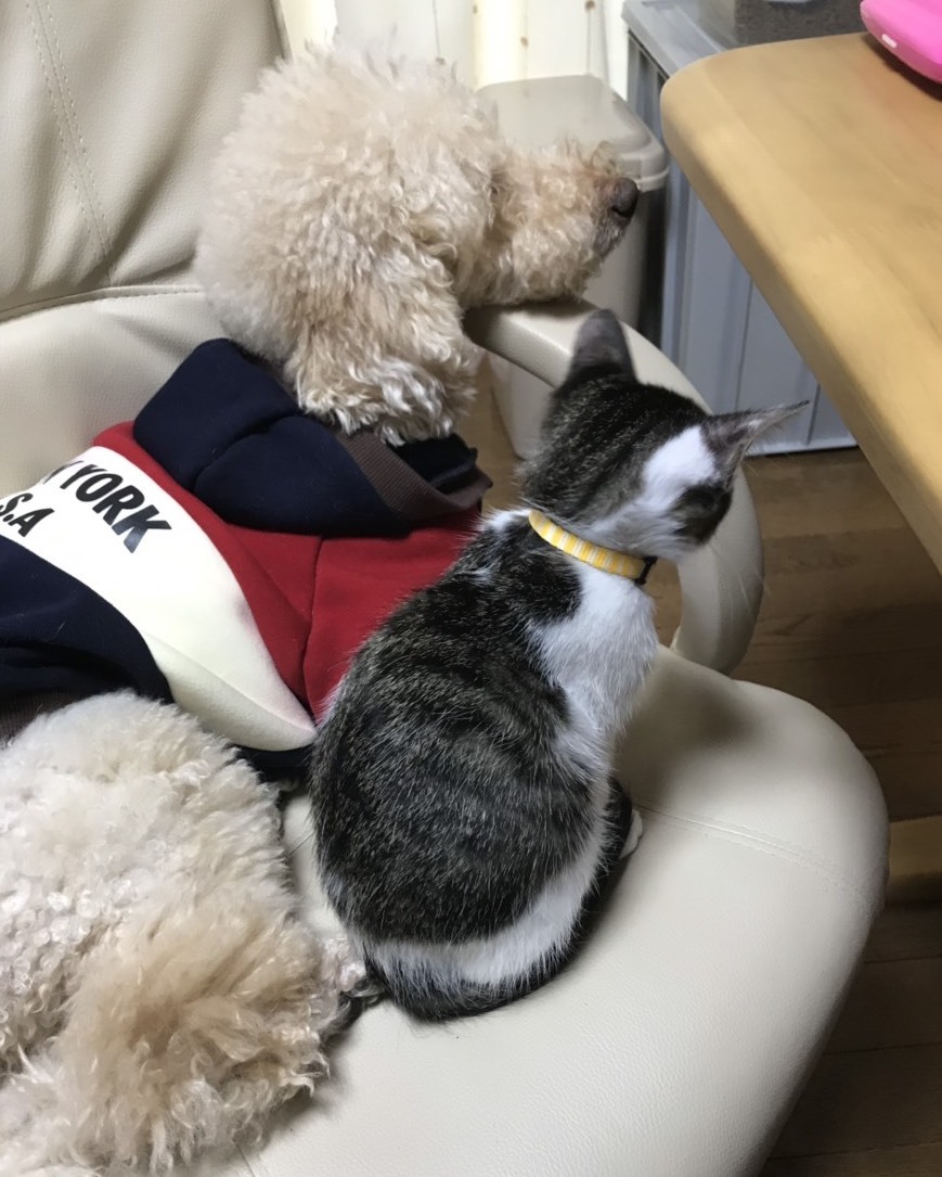みきちゃん その後 Gin Tetsu Nosuke みきちゃん その後 Gin Tetsu Nosuke