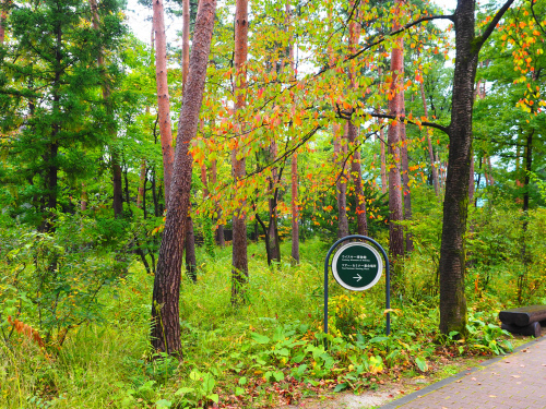 f0357183_21325920.jpg