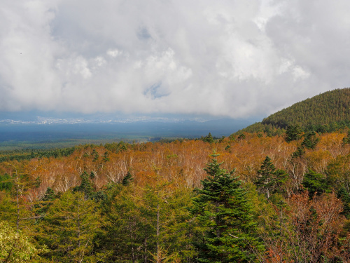 f0357183_22095978.jpg
