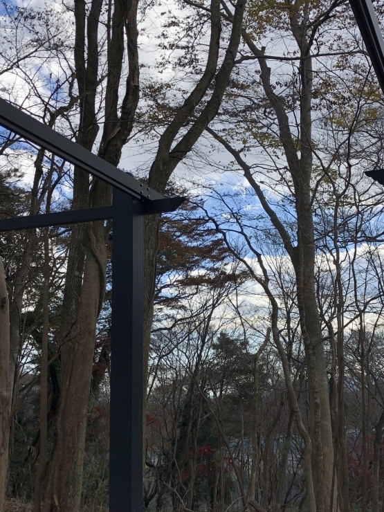 2018年11月23日 パソコンも調子わるー_b0098584_20021324.jpeg