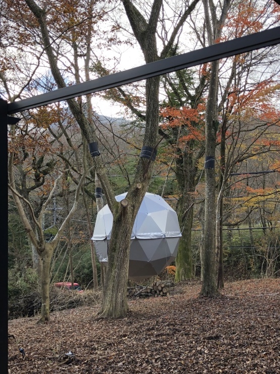 2018年11月23日 パソコンも調子わるー_b0098584_20023235.jpeg