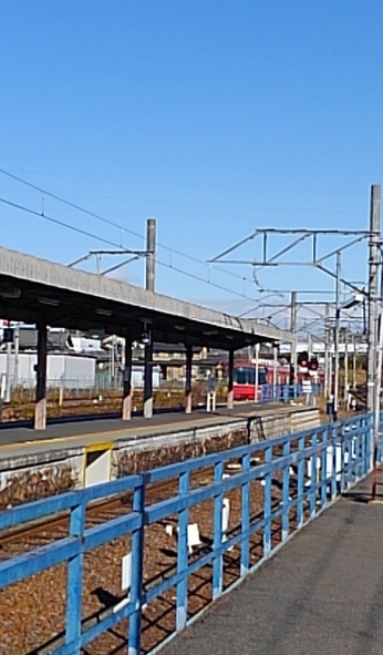 e0061785_23570848.jpg