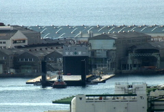 b0192588_8273530.jpg