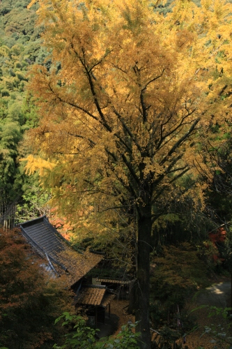 a0141193_12444706.jpg