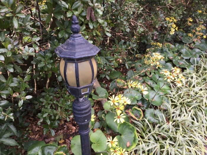 f0268294_13575722.jpeg