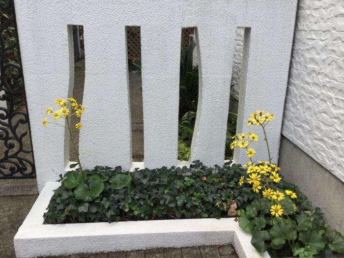 f0268294_14023166.jpeg