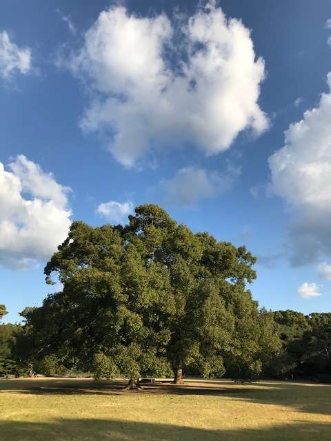 栗林公園_f0204295_18574030.jpg