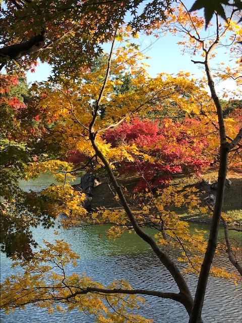栗林公園_f0204295_19093341.jpg